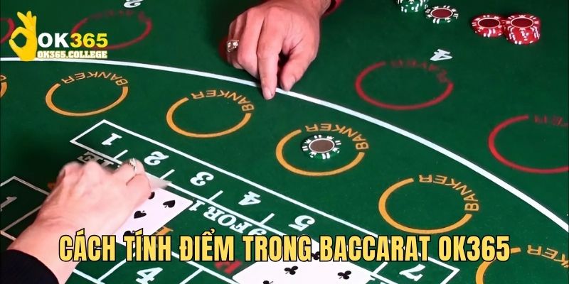 Cách tính điểm tiêu chuẩn hội viên nên nắm rõ