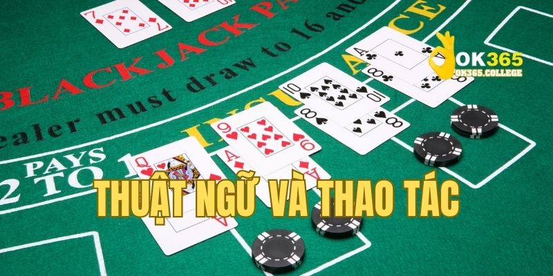 Hướng dẫn mẹo chơi Blackjack hiệu quả và đơn giản