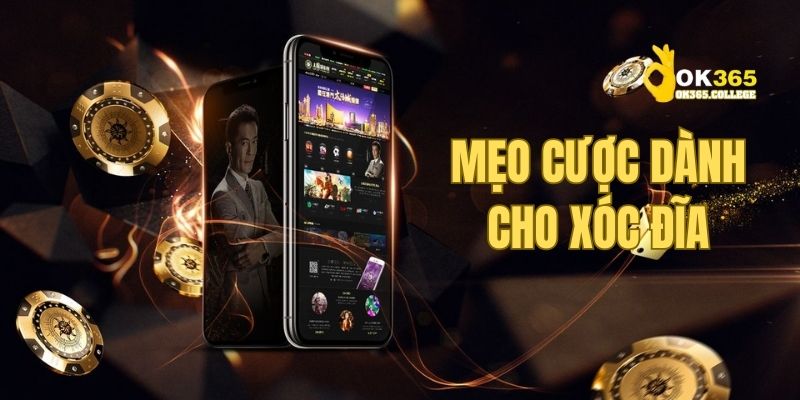 Mẹo bắt cầu hiệu quả dành cho cách chơi xóc đĩa OK365