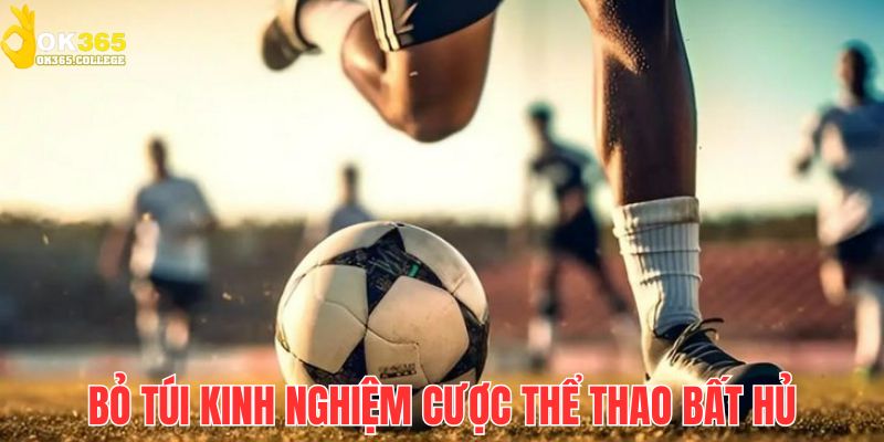 Bỏ túi những mẹo cược hay được chia sẻ từ giới chuyên môn